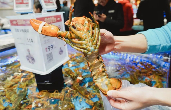 盒马会员海鲜打折吗4