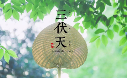 2024三伏天是几号到几号