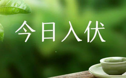 2024年入伏时间和出伏时间