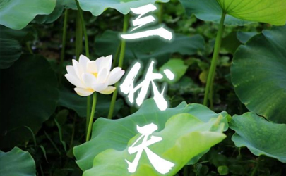 2024三伏天是30天还是40天