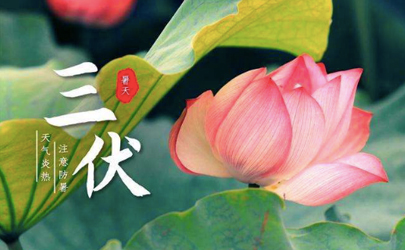 2024年三伏天是公伏还是母伏