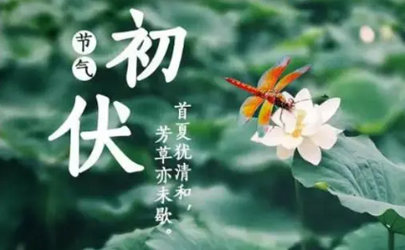 2024年初伏第一天是几月几号