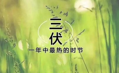 2024三伏天从什么时候开始至结束